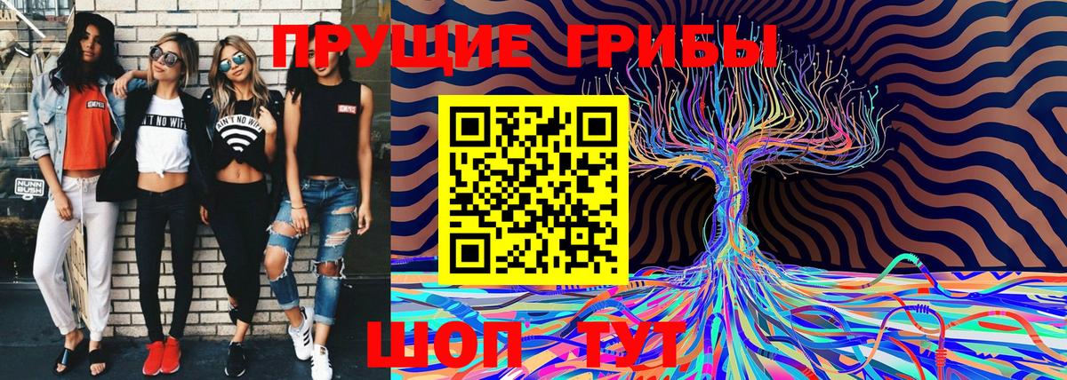 Унеча  Галлюциногенные грибы Psilocybe  Псилоцибиновые грибы мухоморы  Вход с VPN 